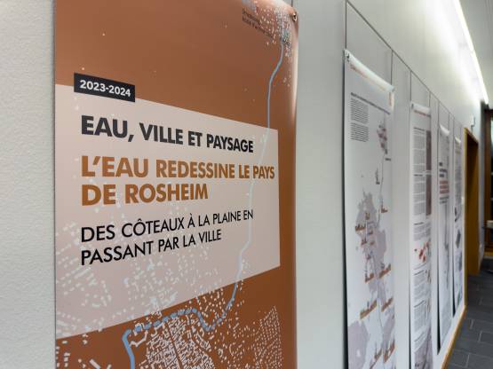 Illustration - Des coteaux à la plaine en passant par la ville : l'eau redessine le pays de Rosheim 16