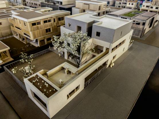 Illustration - MAISONS EN BANDE | CONSTRUIRE L'ESPACE HABITÉ 36