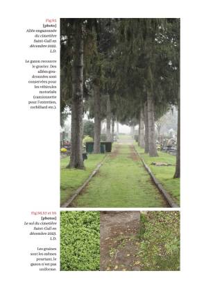 Illustration - Gazon. Mutation des espaces de nature urbains strasbourgeois du Moyen-Âge à nos jours 25