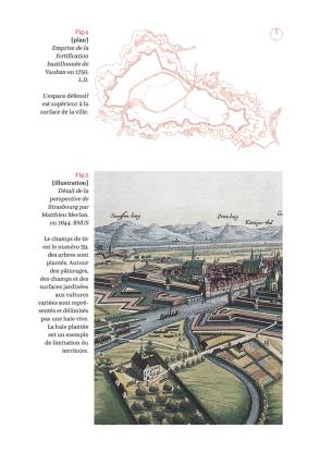 Illustration - Gazon. Mutation des espaces de nature urbains strasbourgeois du Moyen-Âge à nos jours 18