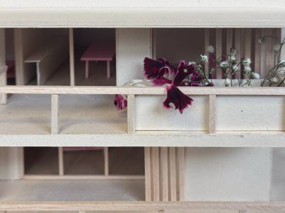 logements collectifs 23