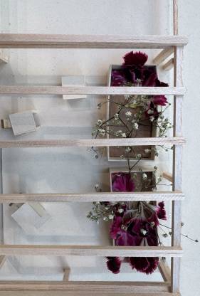 logements collectifs 61